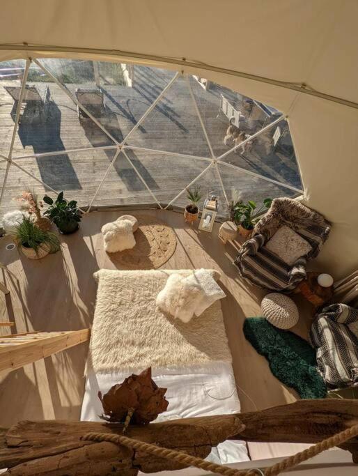 Beautiful Located Dome Hotel Wapnica  Bagian luar foto